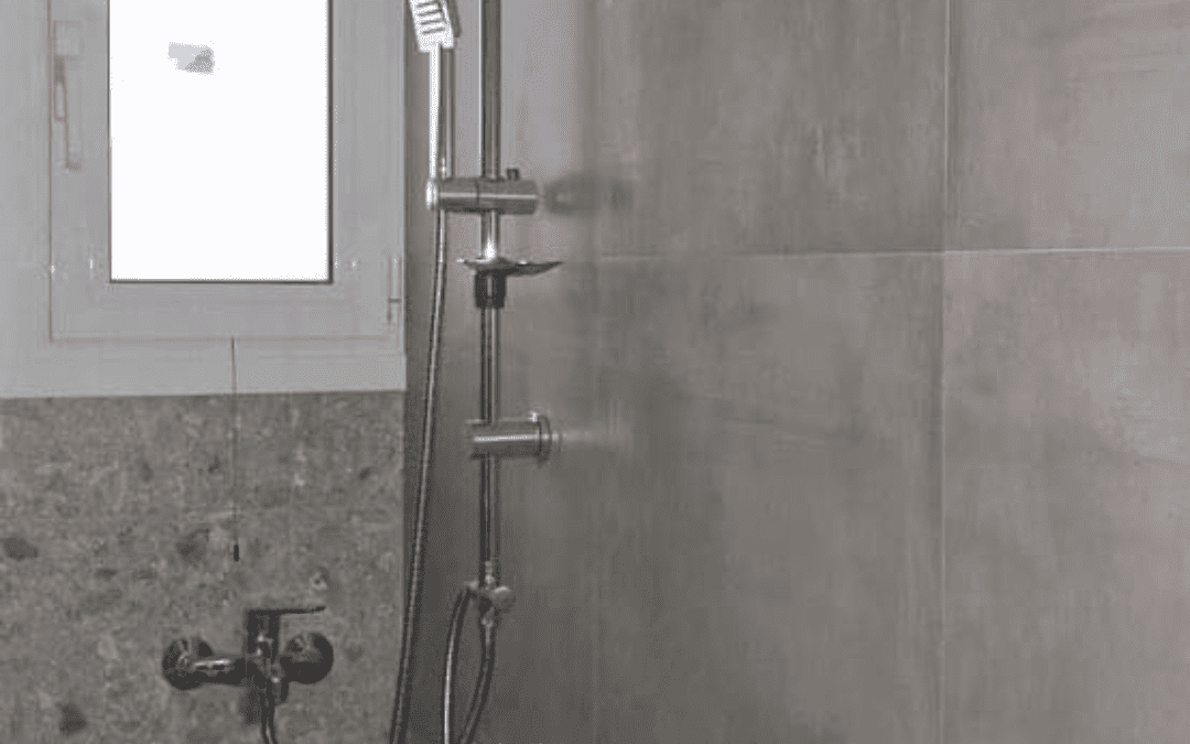 Αναικαίνιση μπάνιου πανόρμου