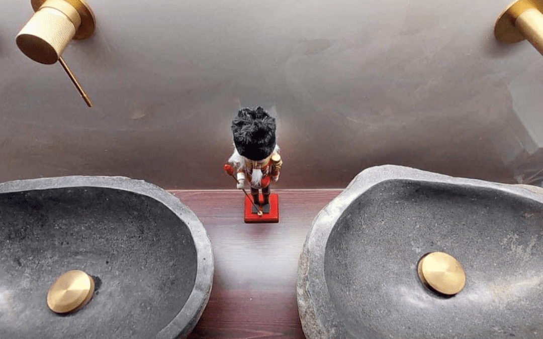 Αναικαίνιση μπάνιου ζωγράφου